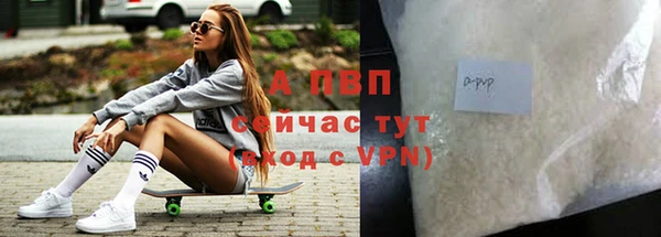 стаф Богданович
