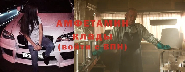 стаф Богданович