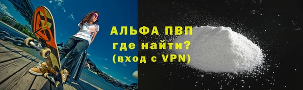 прущие грибы Богородицк