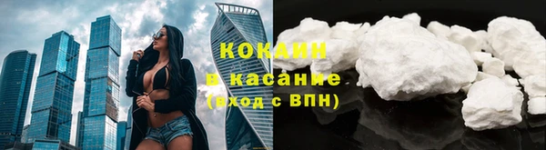 прущие грибы Богородицк