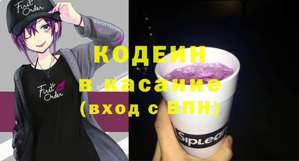стаф Богданович