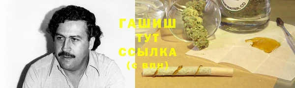прущие грибы Богородицк
