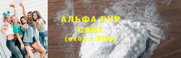 стаф Богданович