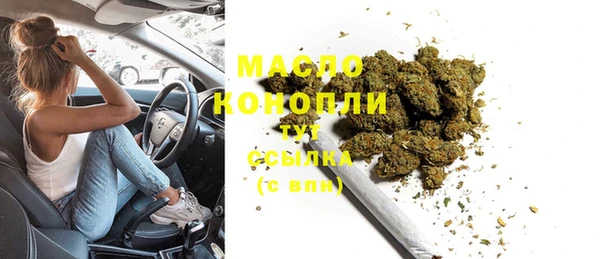 стаф Богданович